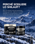 Shilajit puro al 100% 💎 Una fonte di energia vitale dall'Himalaya